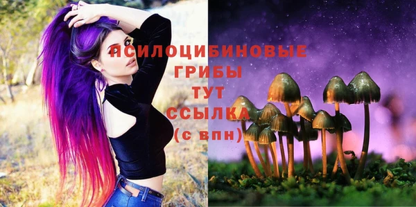 MDMA Premium VHQ Михайлов